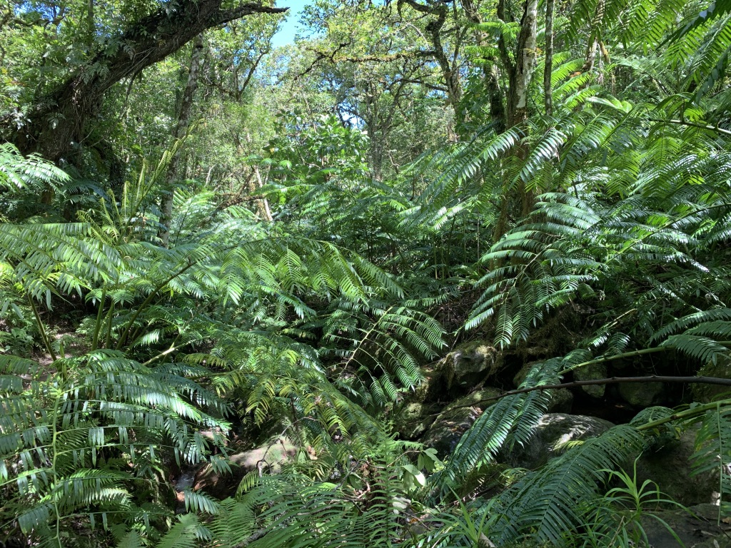 f:id:Pablo21:20191120232604j:plain f:id:Pablo21:20191120232604j:plain