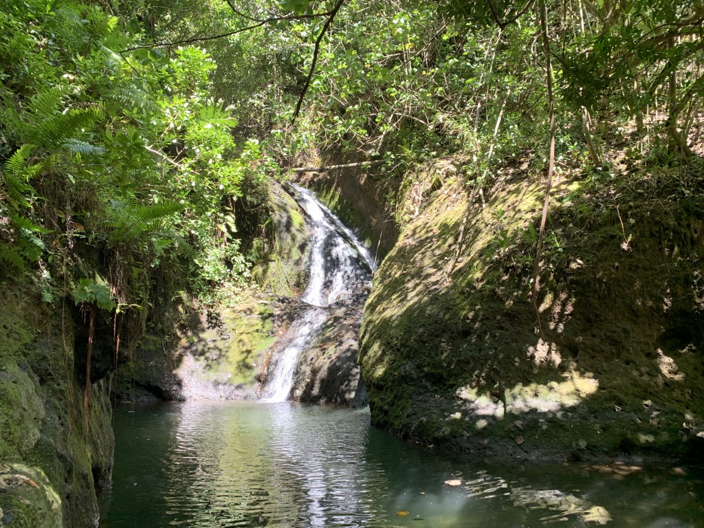 f:id:Pablo21:20191120232643j:plain f:id:Pablo21:20191120232643j:plain