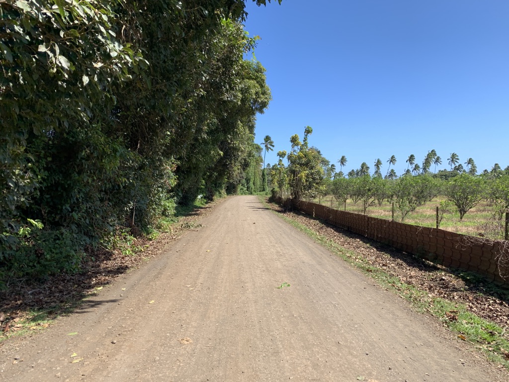 f:id:Pablo21:20191120232647j:plain f:id:Pablo21:20191120232647j:plain