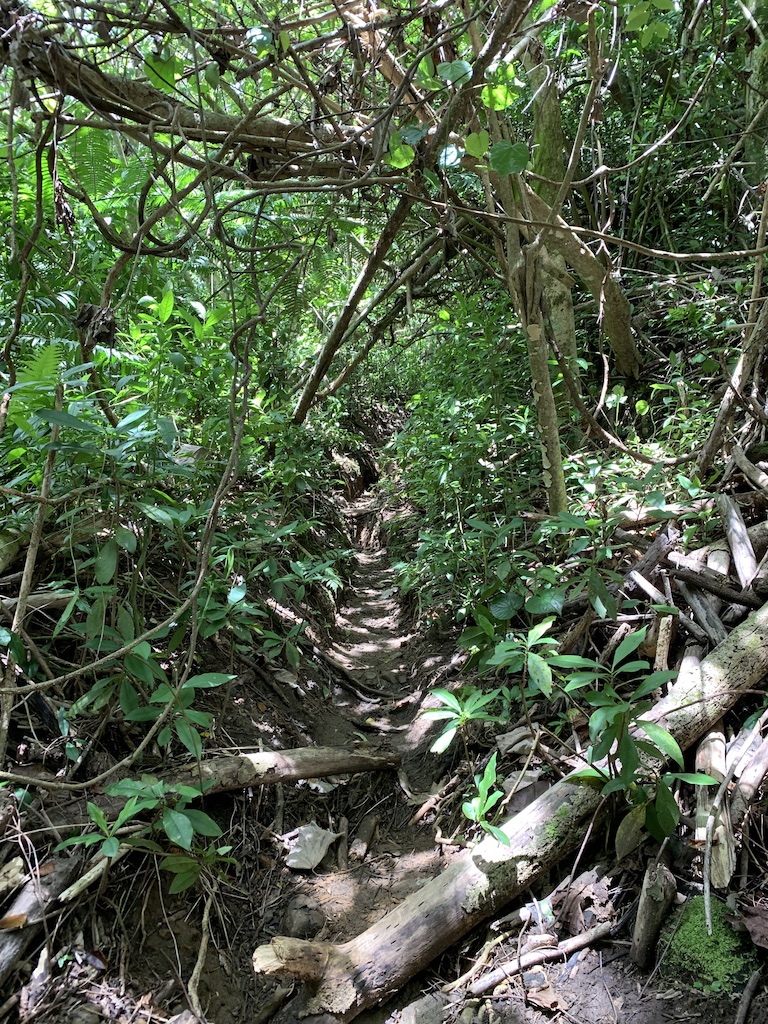 f:id:Pablo21:20191124002708j:plain f:id:Pablo21:20191124002708j:plain