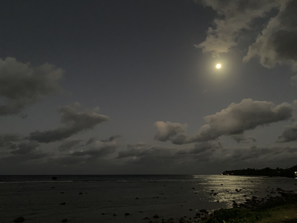 f:id:Pablo21:20191124125328j:plain f:id:Pablo21:20191124125328j:plain