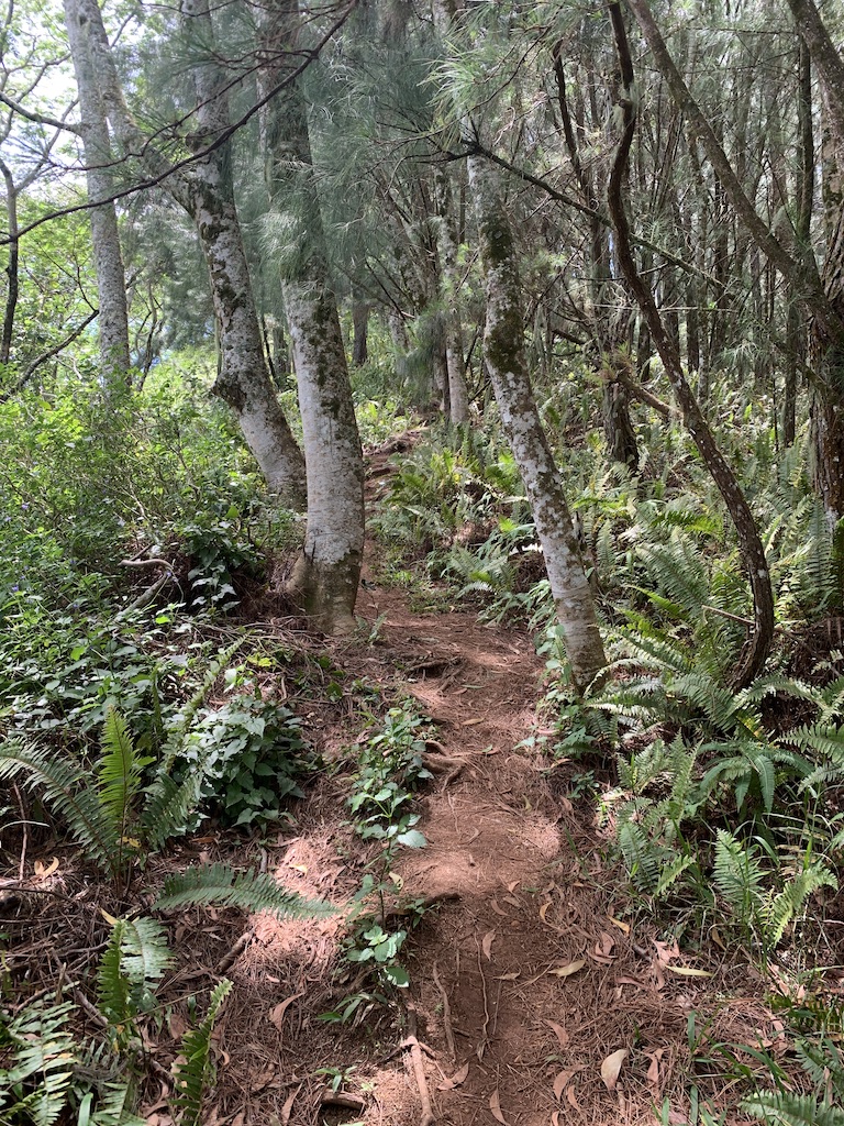 f:id:Pablo21:20191124130416j:plain f:id:Pablo21:20191124130416j:plain