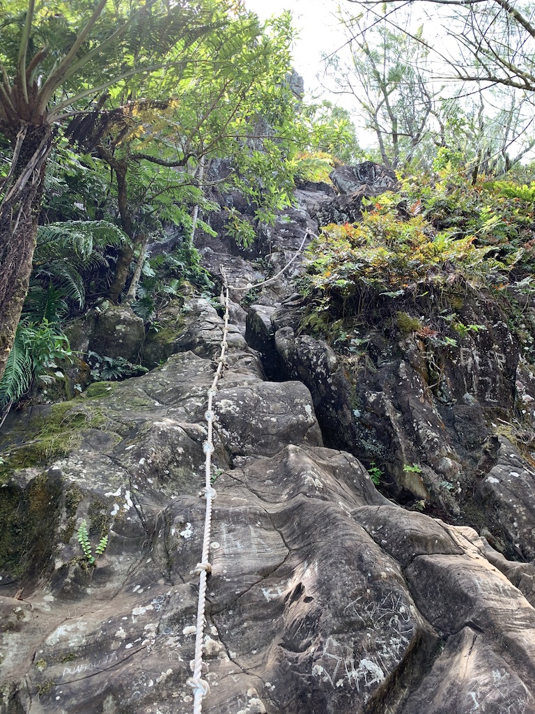 f:id:Pablo21:20191124130535j:plain f:id:Pablo21:20191124130535j:plain