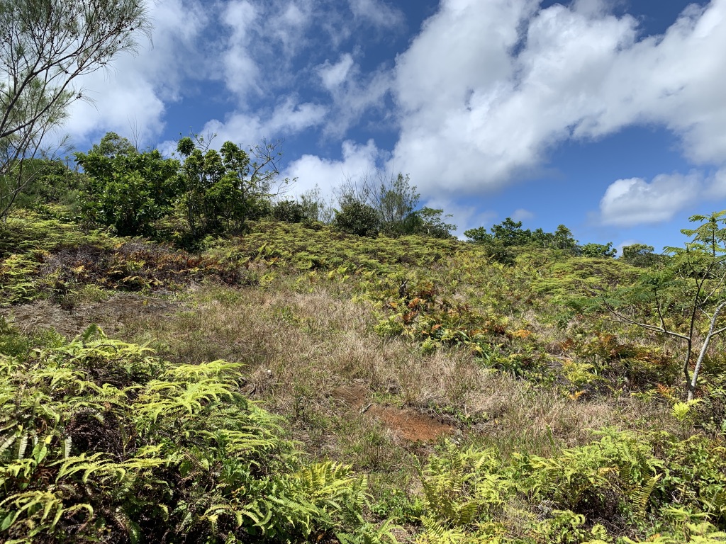 f:id:Pablo21:20191124131100j:plain f:id:Pablo21:20191124131100j:plain