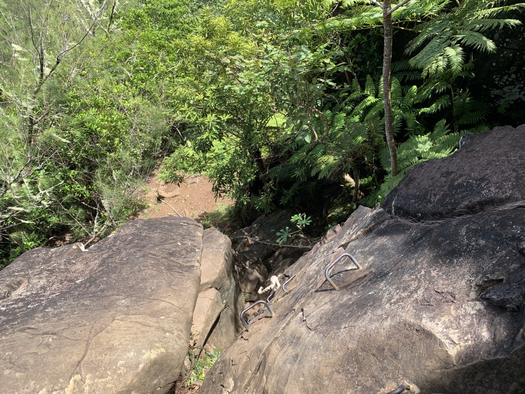 f:id:Pablo21:20191124131234j:plain f:id:Pablo21:20191124131234j:plain