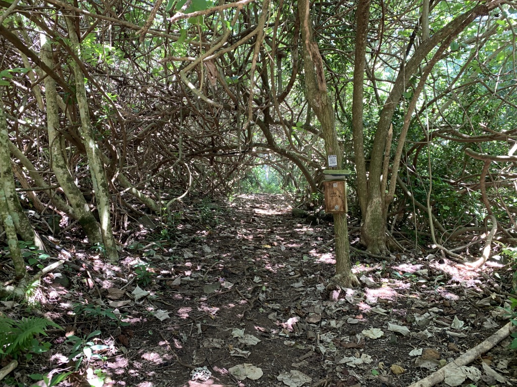 f:id:Pablo21:20191124131251j:plain f:id:Pablo21:20191124131251j:plain