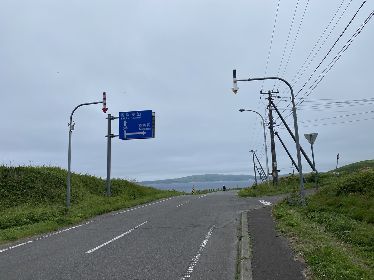 f:id:Pablo21:20201029143928j:plain f:id:Pablo21:20201029143928j:plain