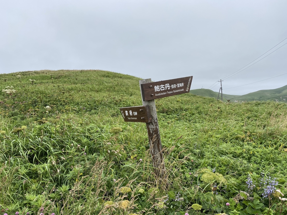 f:id:Pablo21:20201029173901j:plain f:id:Pablo21:20201029173901j:plain