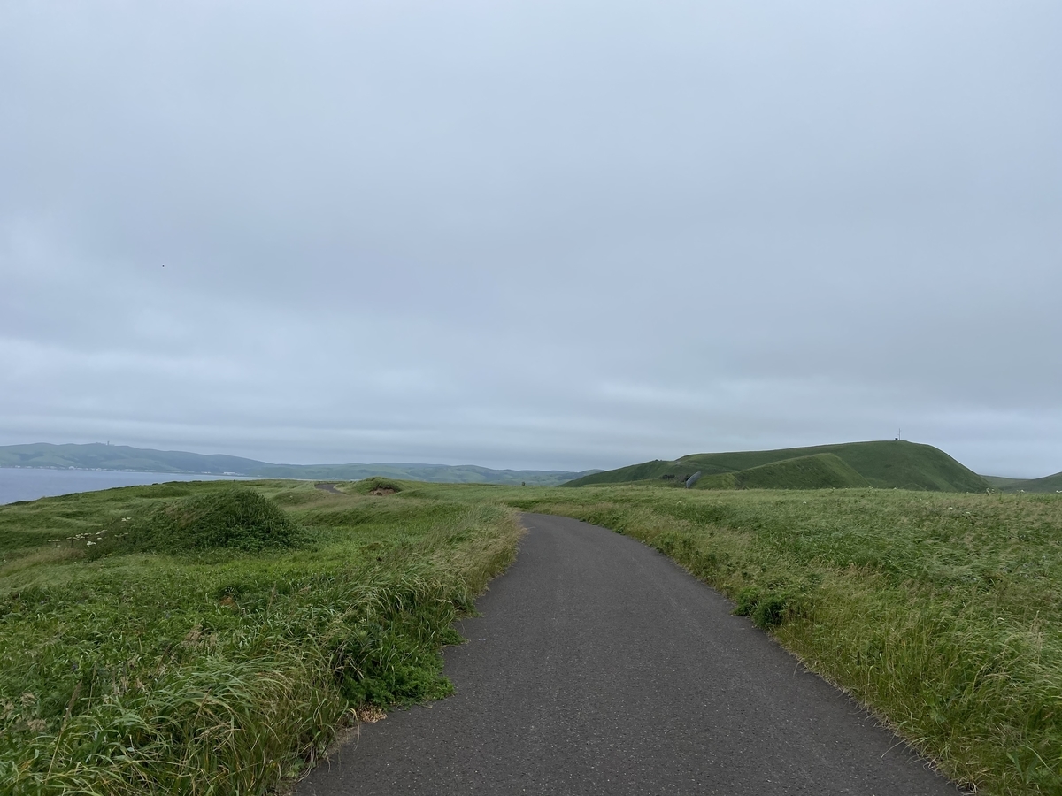 f:id:Pablo21:20201029174320j:plain f:id:Pablo21:20201029174320j:plain