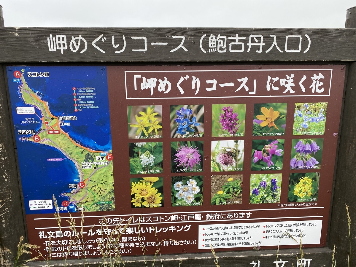 f:id:Pablo21:20201029174812j:plain f:id:Pablo21:20201029174812j:plain