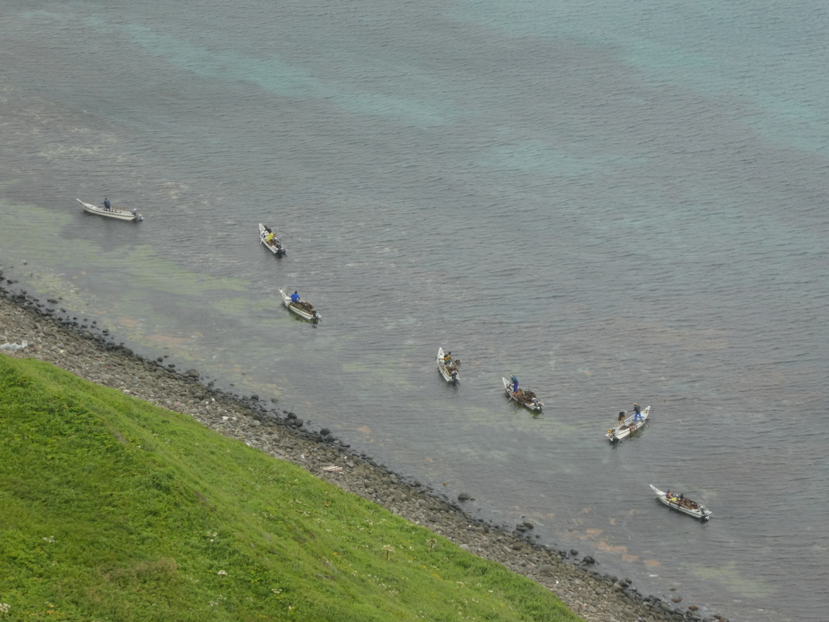 f:id:Pablo21:20201029185052j:plain f:id:Pablo21:20201029185052j:plain