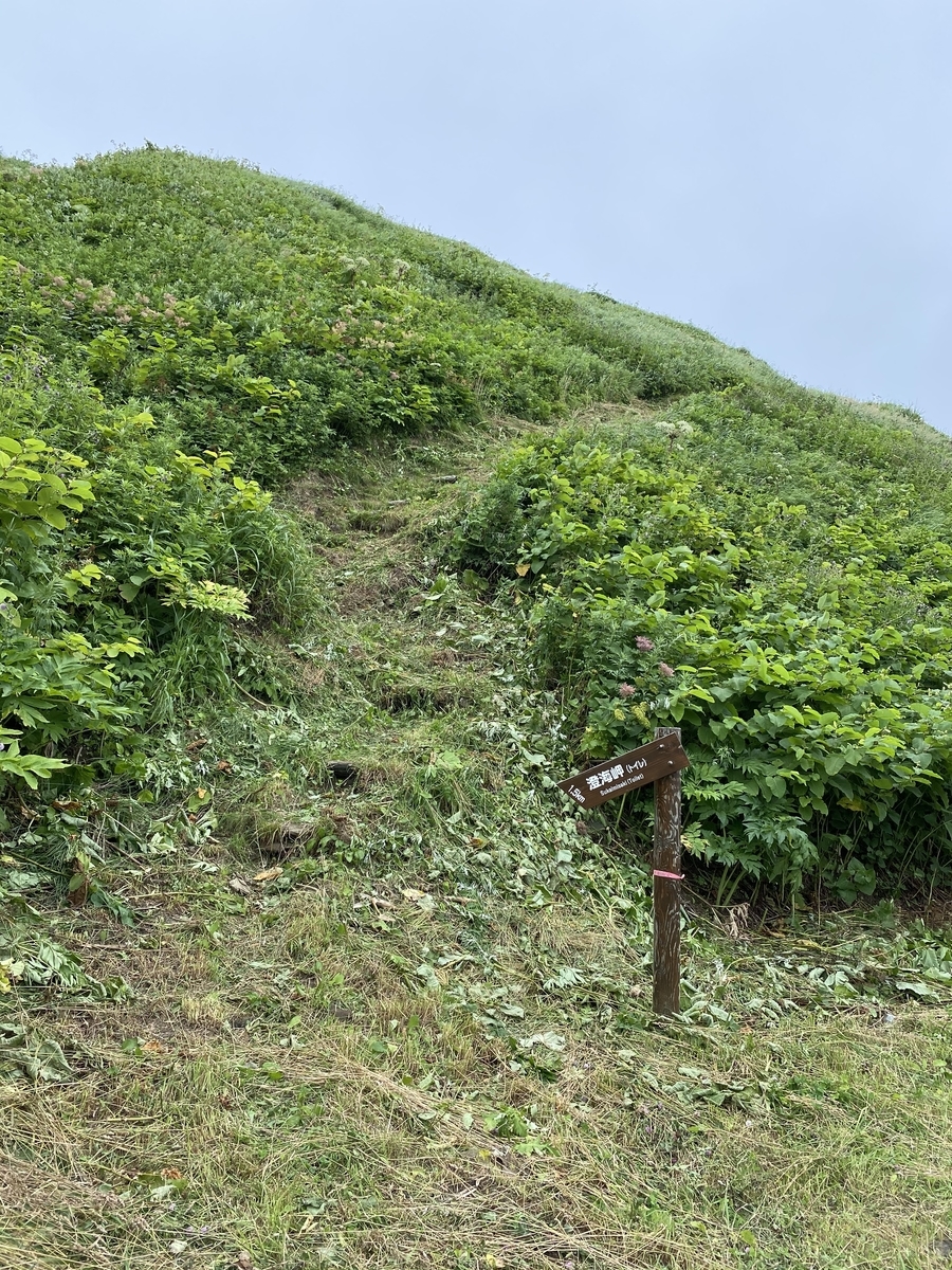 f:id:Pablo21:20201029190101j:plain f:id:Pablo21:20201029190101j:plain