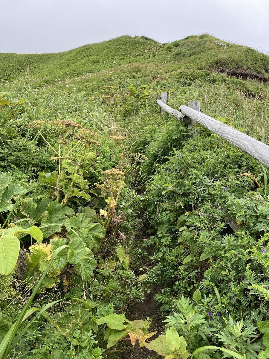 f:id:Pablo21:20201029190224j:plain f:id:Pablo21:20201029190224j:plain