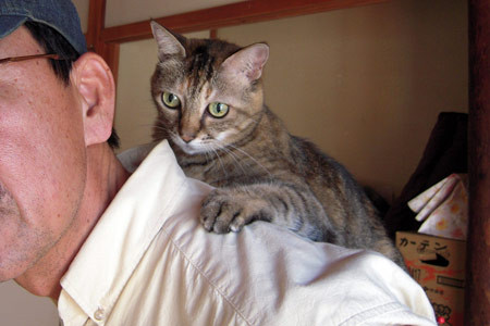 f:id:PageTAKA:20080924205726j:image