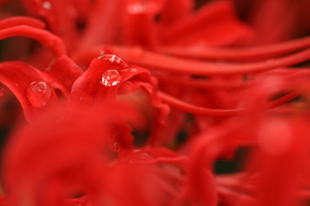 f:id:PageTAKA:20080926213229j:image