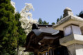 [鳥取県日野郡日南町][シロモクレン][春][石見神社]