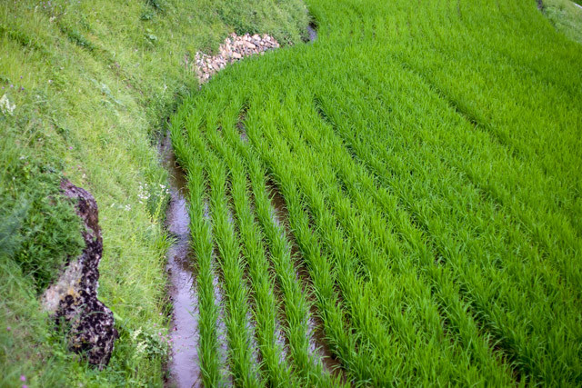 [棚田][岡山県和気郡和気町南][佐伯町延原]