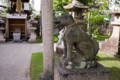 [沖田神社][道通宮][狛狐][お稲荷様]