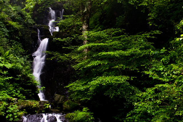 f:id:PageTAKA:20110728183133j:image