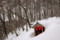 [蒜山][塩釜近く][真庭市][雪]