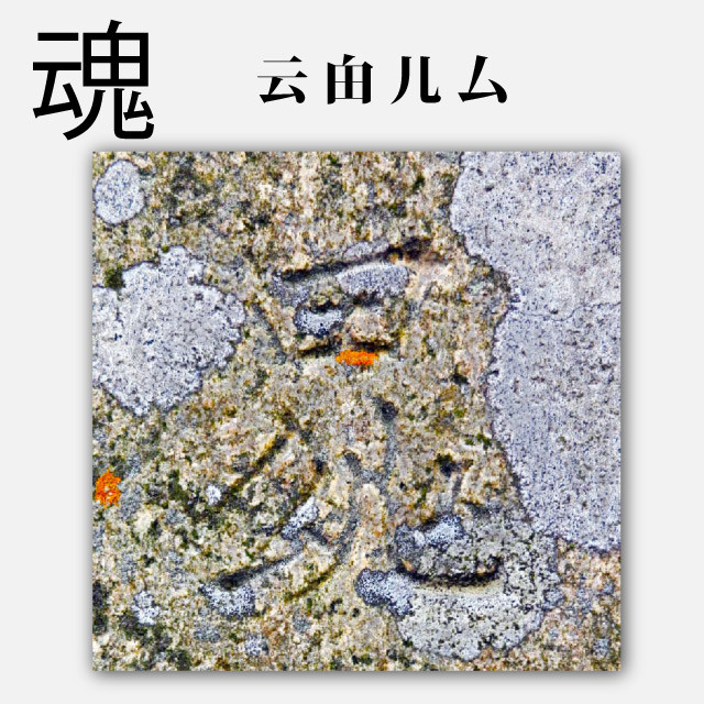f:id:PageTAKA:20120425084324j:image