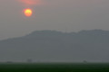 [朝日][太陽][7月][水田]