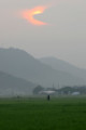 [田園風景][散歩][朝日]