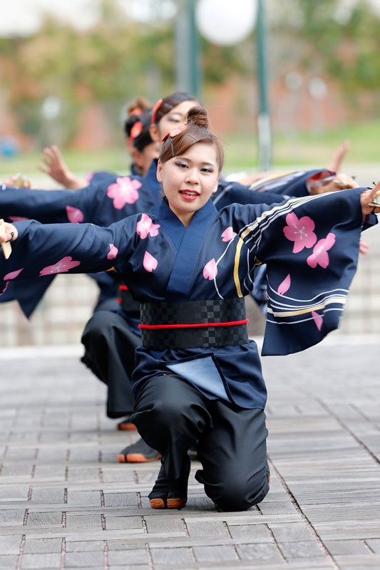 f:id:PageTAKA:20160905113057j:plain