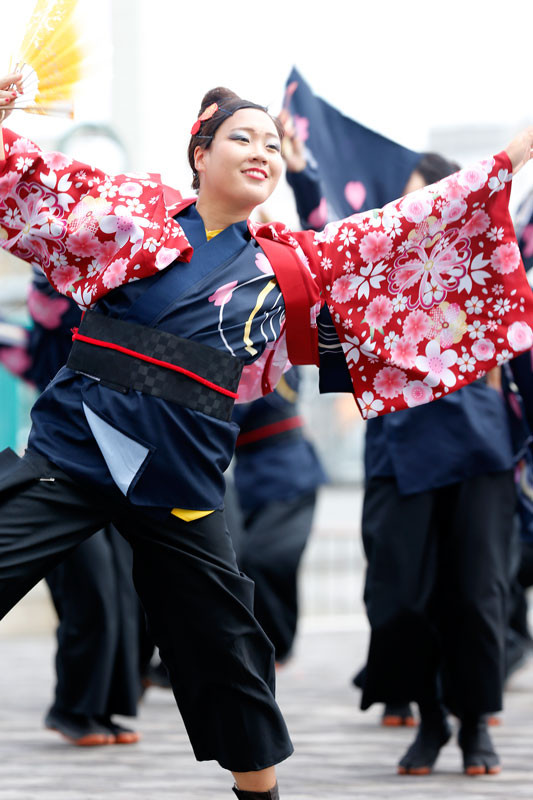 f:id:PageTAKA:20160905113102j:plain