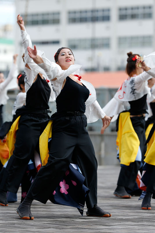 f:id:PageTAKA:20160905113206j:plain