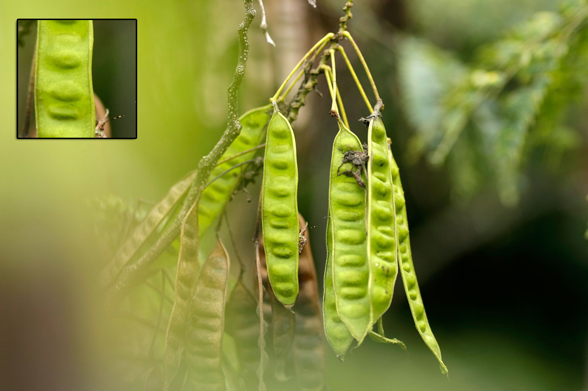 f:id:PageTAKA:20160930112221j:plain