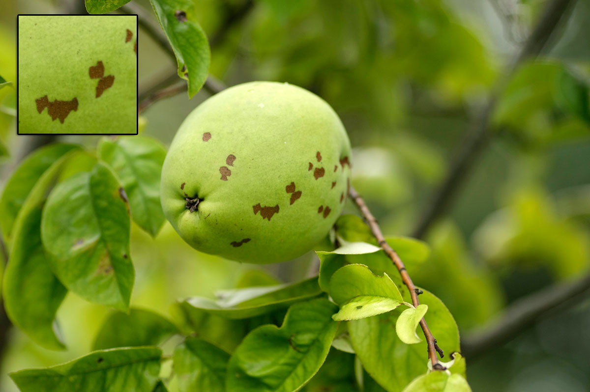 f:id:PageTAKA:20160930112544j:plain