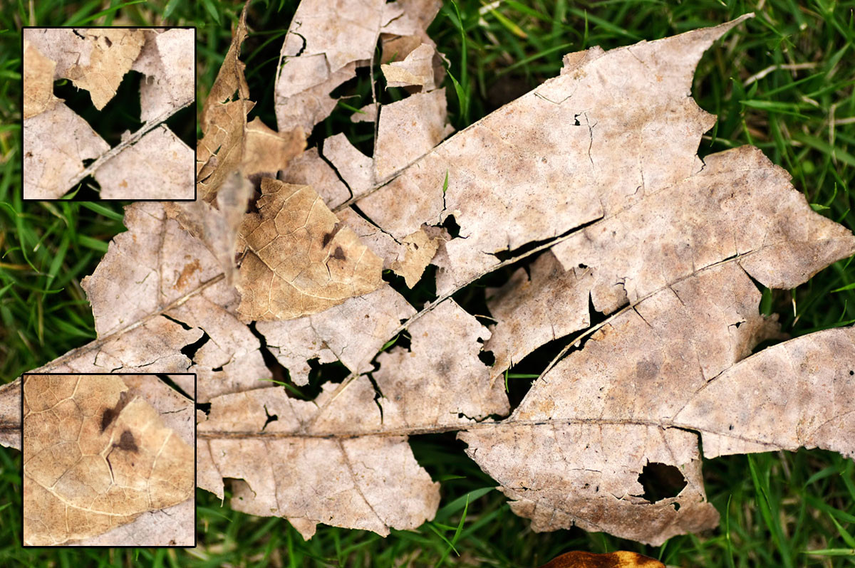 f:id:PageTAKA:20160930113004j:plain