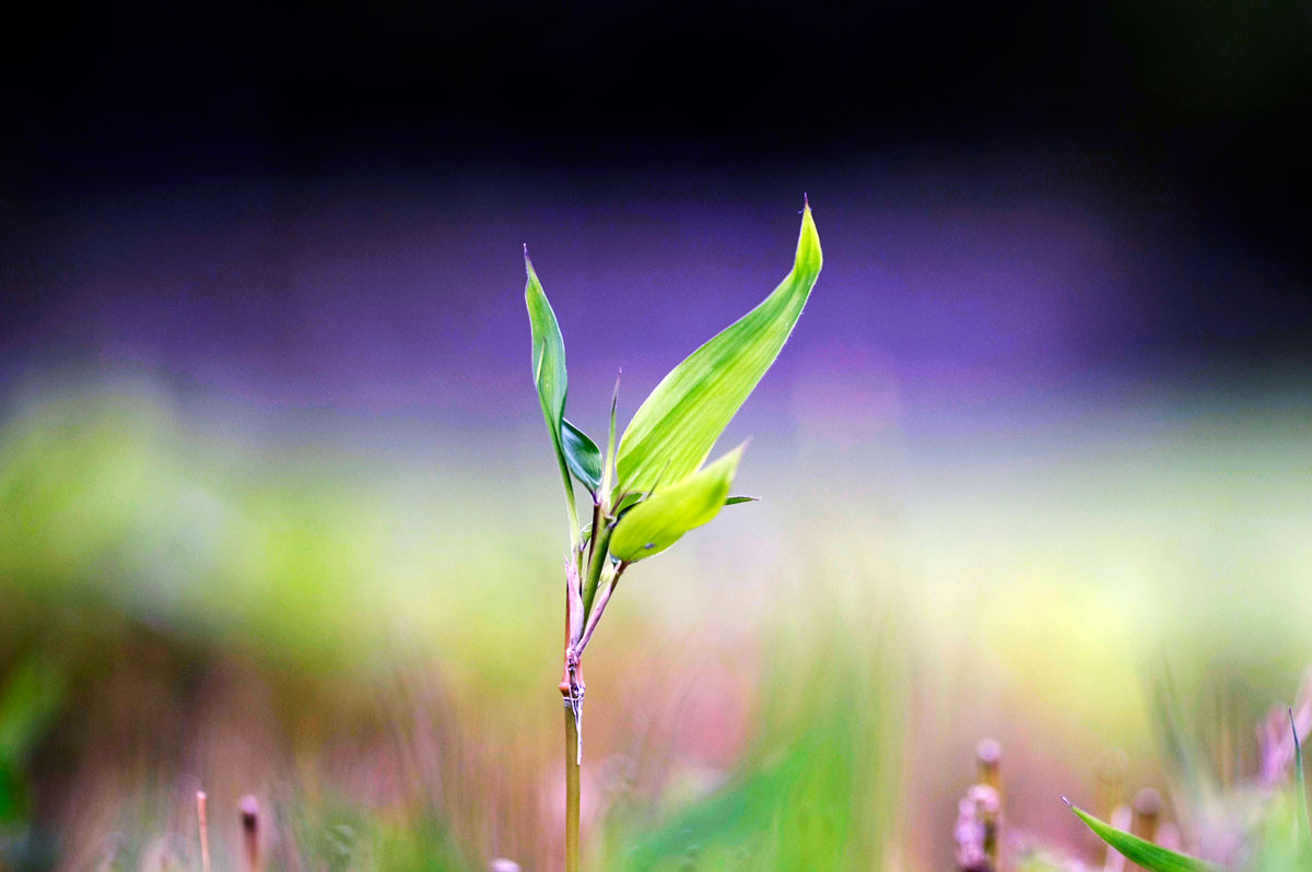 f:id:PageTAKA:20160930113829j:plain