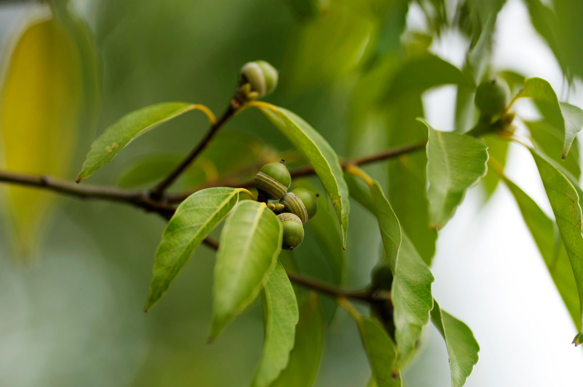 f:id:PageTAKA:20160930115117j:plain