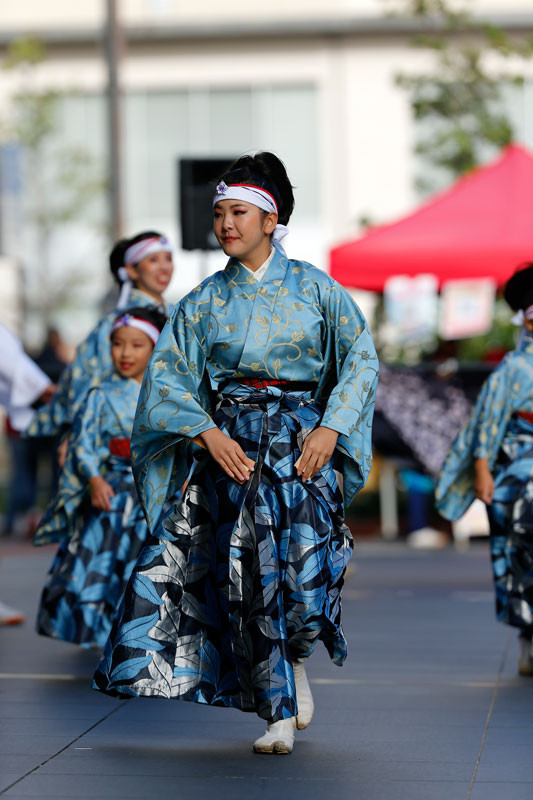 f:id:PageTAKA:20161026160122j:plain