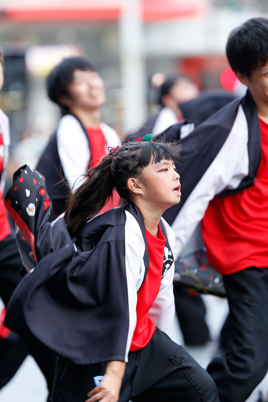 f:id:PageTAKA:20161026163739j:plain