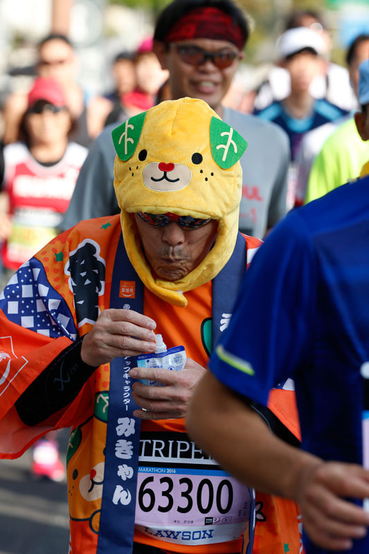 f:id:PageTAKA:20161113170342j:plain