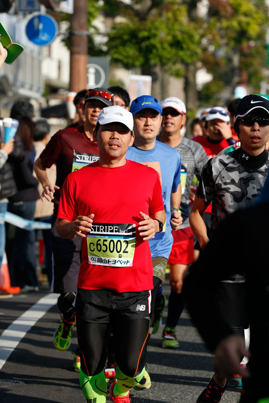 f:id:PageTAKA:20161113170423j:plain