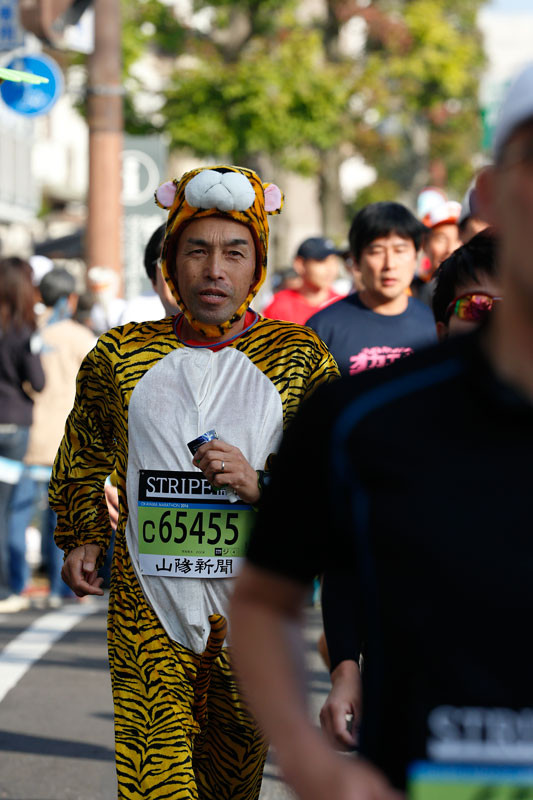 f:id:PageTAKA:20161113170440j:plain