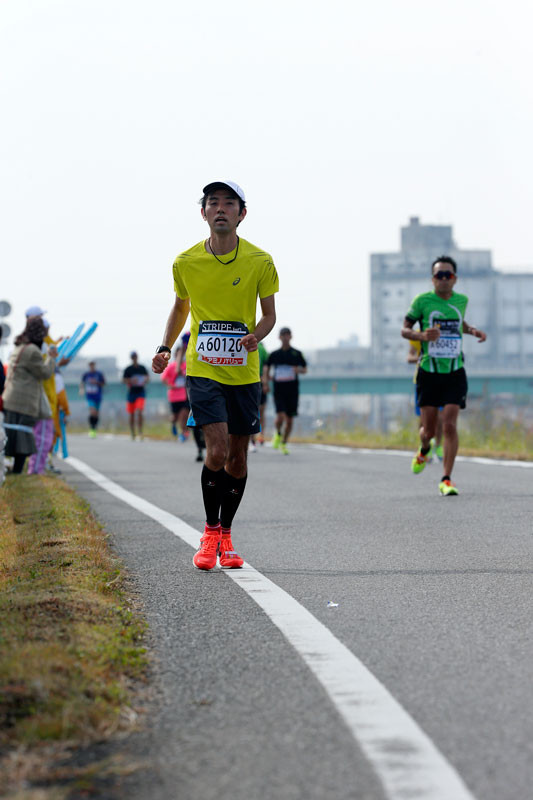 f:id:PageTAKA:20161114105720j:plain