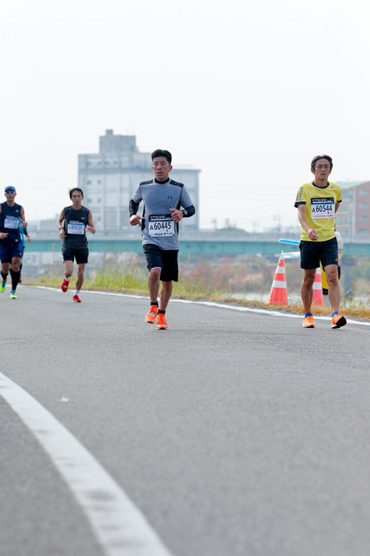 f:id:PageTAKA:20161114105741j:plain