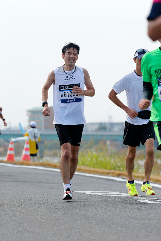 f:id:PageTAKA:20161114105752j:plain