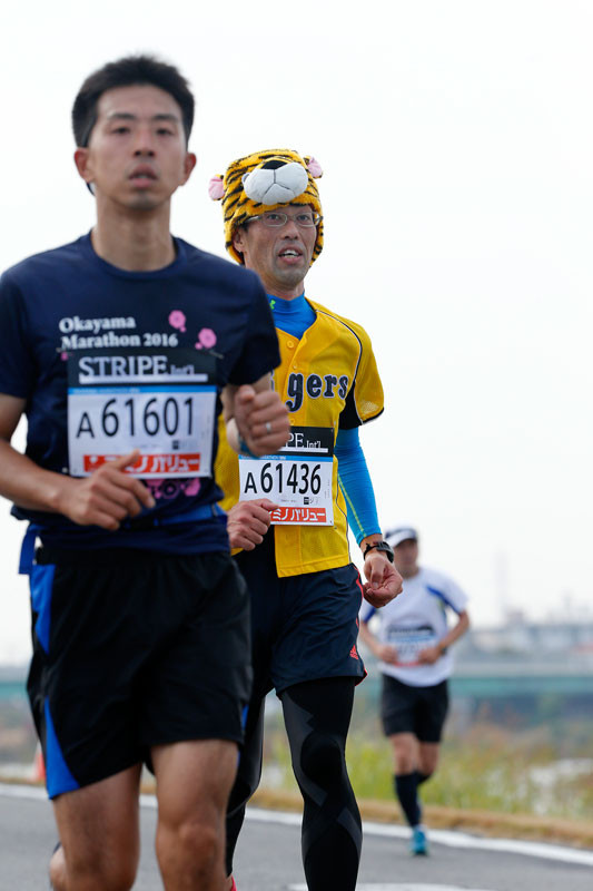 f:id:PageTAKA:20161114105945j:plain