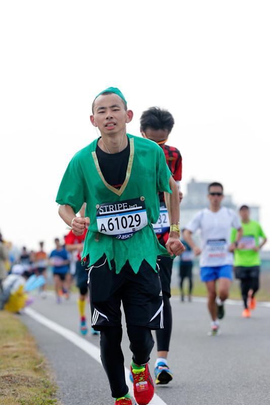 f:id:PageTAKA:20161114110217j:plain