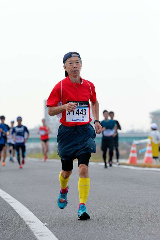 f:id:PageTAKA:20161114110219j:plain