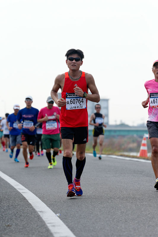 f:id:PageTAKA:20161114110241j:plain