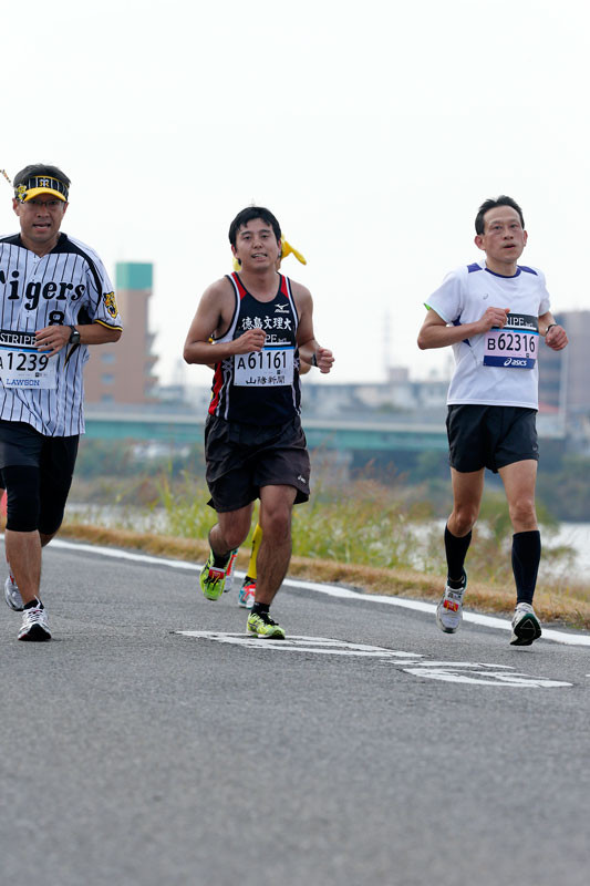 f:id:PageTAKA:20161114110342j:plain