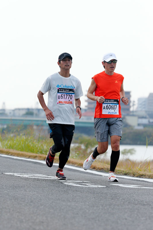 f:id:PageTAKA:20161114110356j:plain