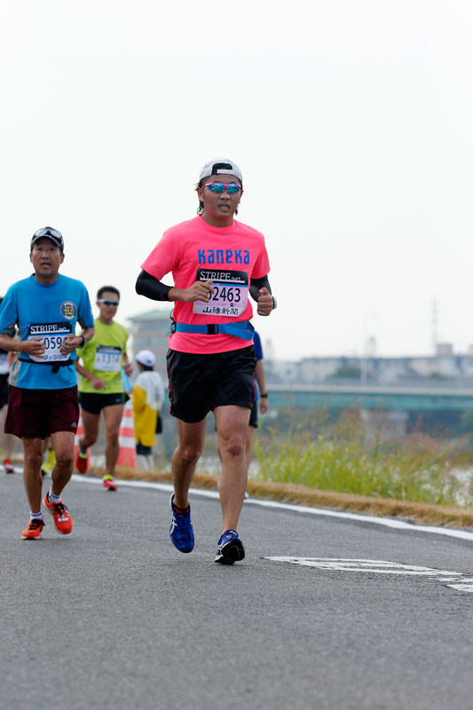 f:id:PageTAKA:20161114110400j:plain